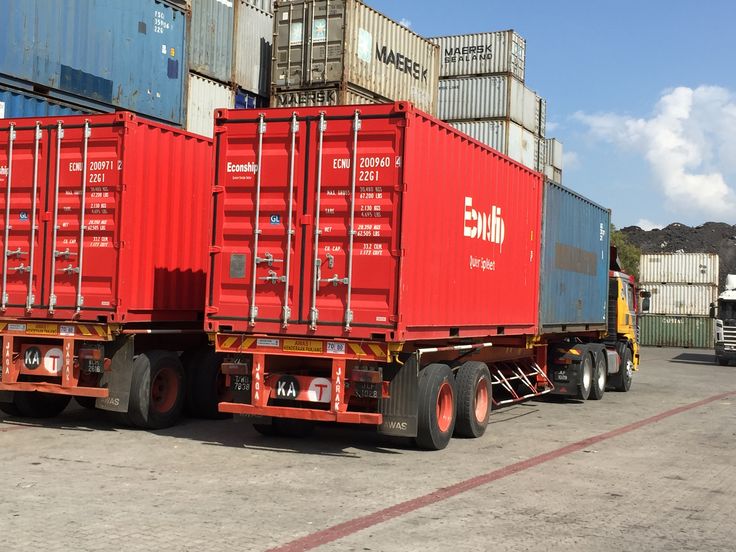 Import & Export activity 1